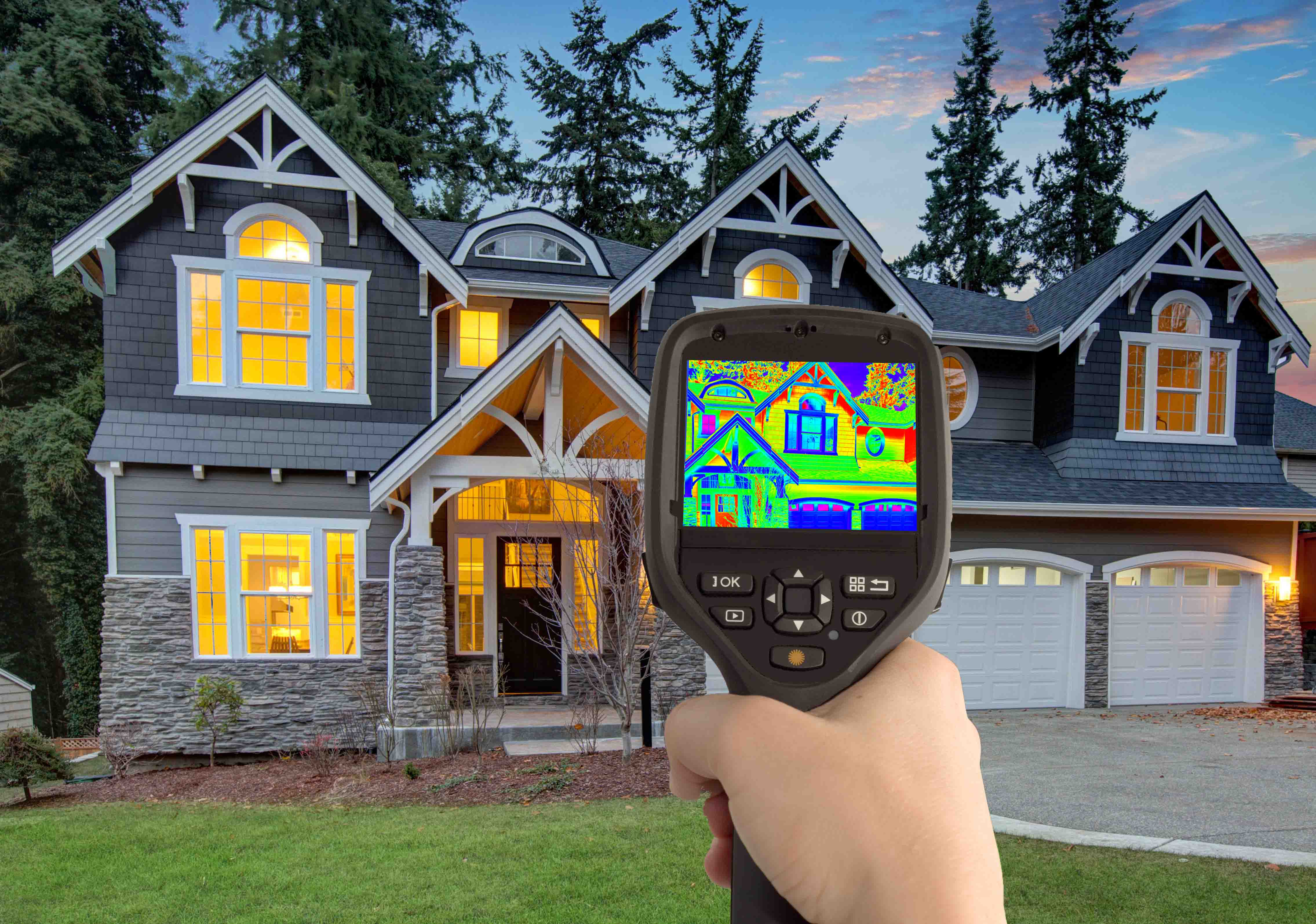 Thermal Image of the House